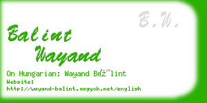 balint wayand business card